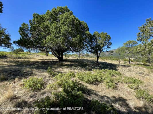 L16 BUGGY LANE, NOGAL, NM 88341 - Image 1