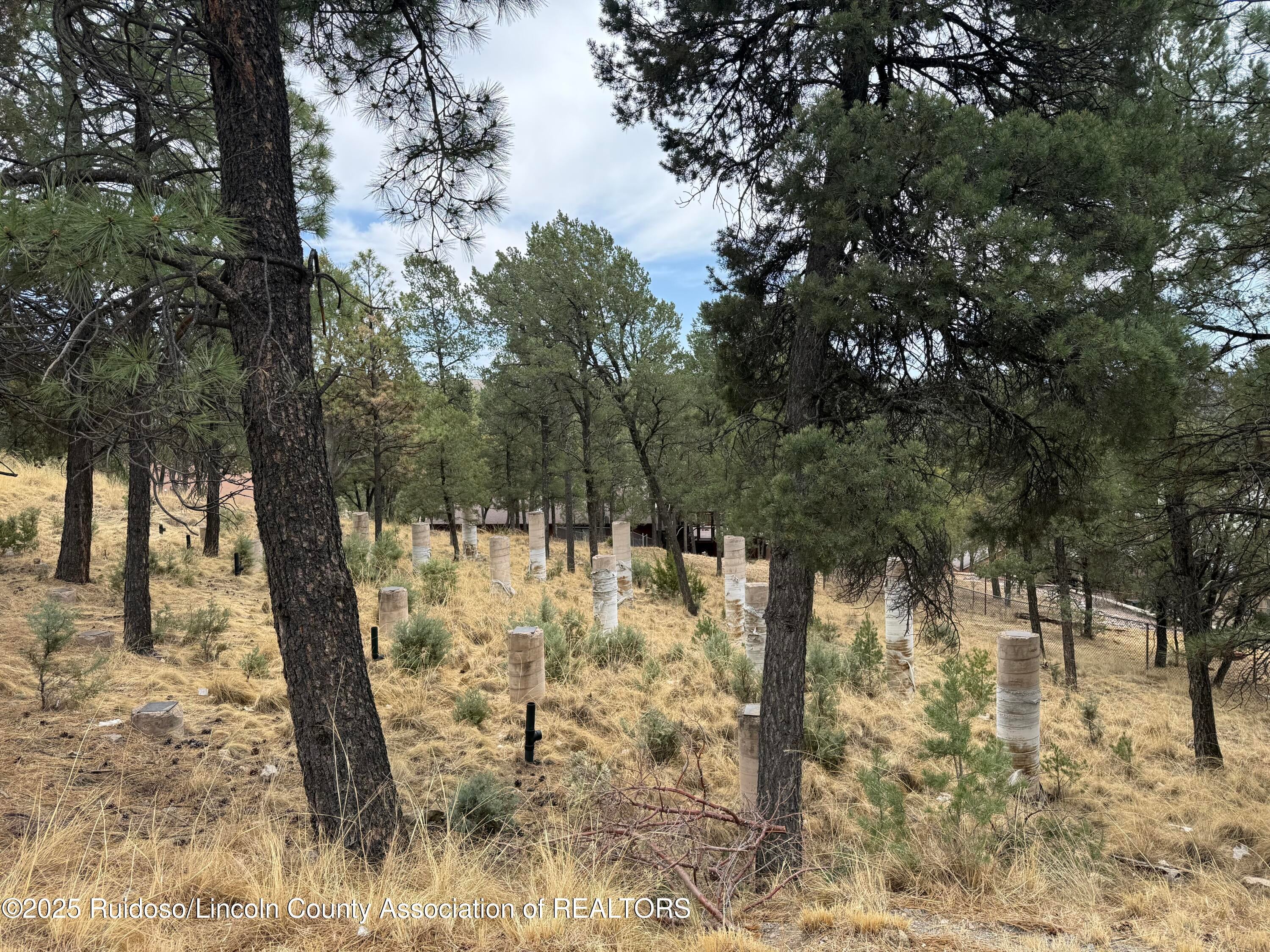 Ruidoso, New Mexico, 88345, United States, ,36 BathroomsBathrooms,Residential,Active,1920237