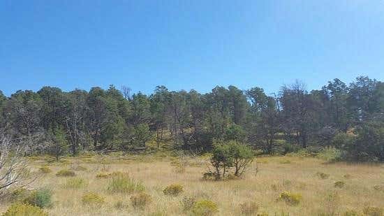 #1 PINON RIDGE ROAD, RUIDOSO DOWNS, NM 88346 - Image 1