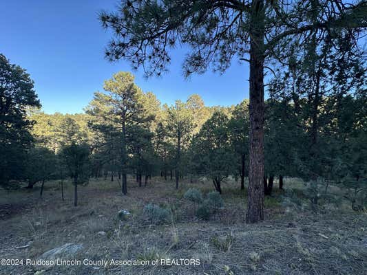 LOT 6 ALTO DRIVE, ALTO, NM 88312 - Image 1