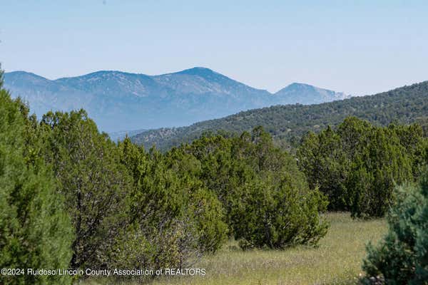 LOT 332 LAS ESTRELAS # 3, ALTO, NM 88312 - Image 1