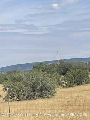 T4 HALL ROAD, CAPITAN, NM 88316 - Image 1