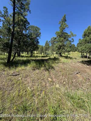 L5 NEIL ROAD, ALTO, NM 88312 - Image 1