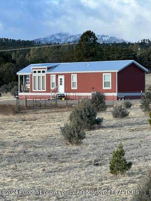 100 ELDERBERRY LANE, ALTO, NM 88312 - Image 1