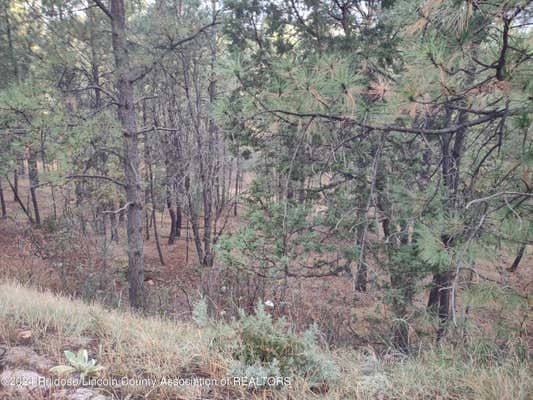 LOT 36 SAWMILL CANYON ROAD, ALTO, NM 88312 - Image 1