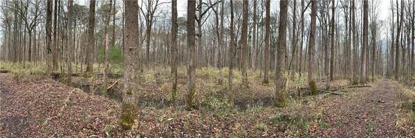 LOT 28 TRINKLE STREET, CHESAPEAKE, VA 23322, photo 2 of 2