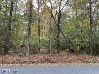 21/2AC NEAL PARKER ROAD, WITHAMS, VA 23488, photo 1