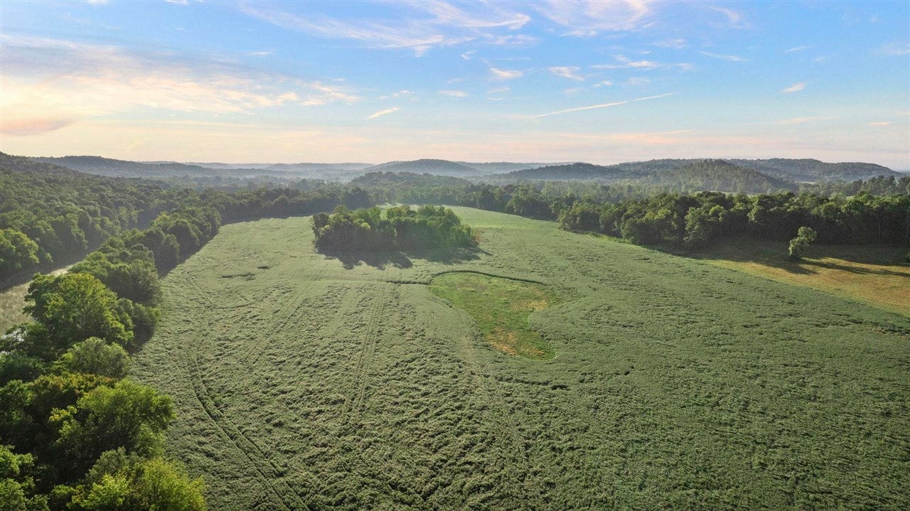 Bowling Green, Kentucky, 42101, United States, 3 Bedrooms Bedrooms, ,2 BathroomsBathrooms,Residential,Active,1920252