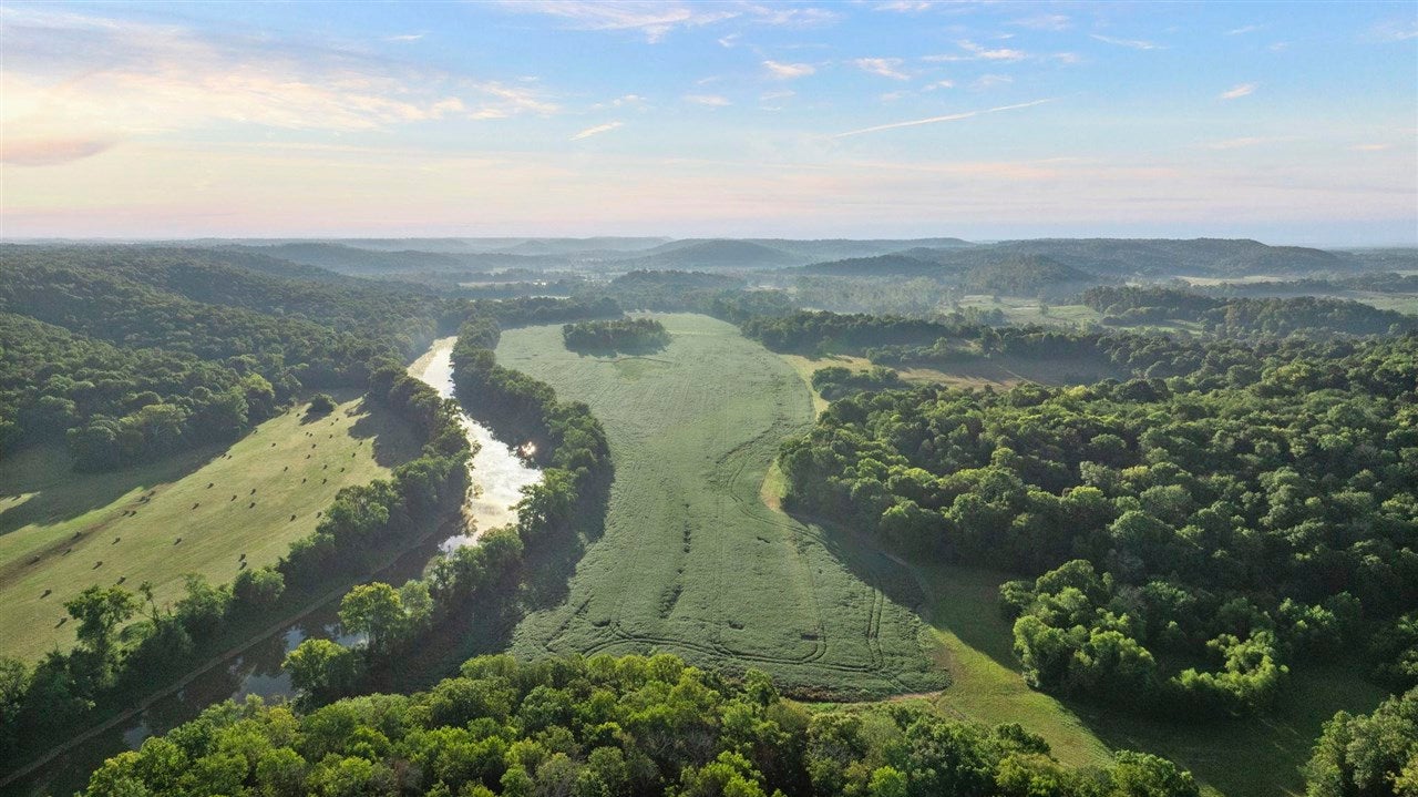 Bowling Green, Kentucky, 42101, United States, 3 Bedrooms Bedrooms, ,2 BathroomsBathrooms,Residential,Active,1920252