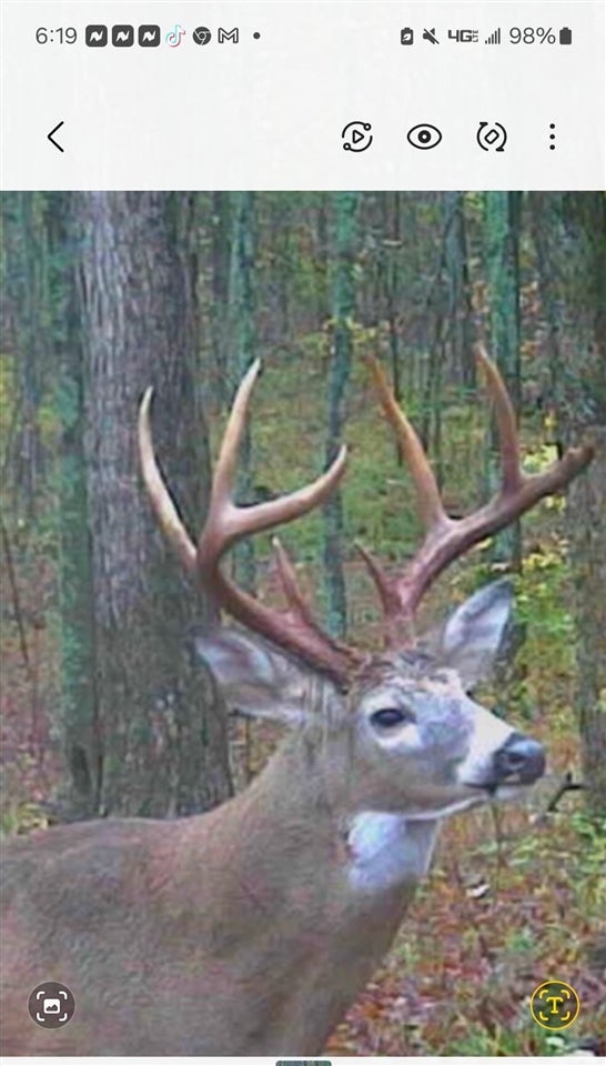 Bowling Green, Kentucky, 42101, United States, 3 Bedrooms Bedrooms, ,2 BathroomsBathrooms,Residential,Active,1920252