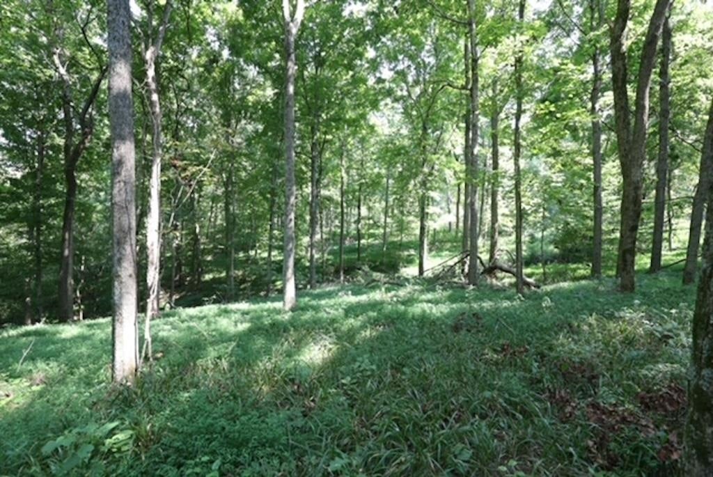 Bowling Green, Kentucky, 42101, United States, 3 Bedrooms Bedrooms, ,2 BathroomsBathrooms,Residential,Active,1920252