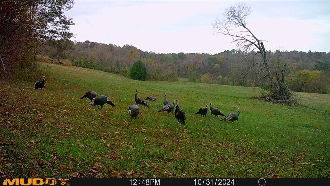 Bowling Green, Kentucky, 42101, United States, 3 Bedrooms Bedrooms, ,2 BathroomsBathrooms,Residential,Active,1920252