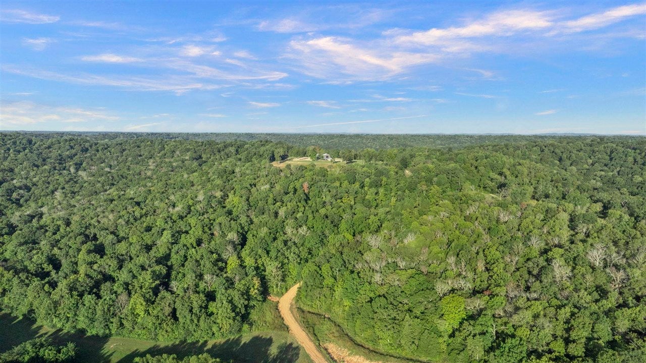 Bowling Green, Kentucky, 42101, United States, 3 Bedrooms Bedrooms, ,2 BathroomsBathrooms,Residential,Active,1920252