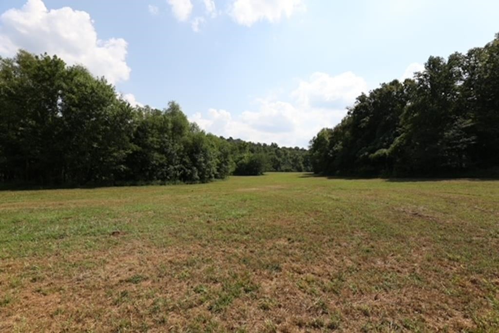 Bowling Green, Kentucky, 42101, United States, 3 Bedrooms Bedrooms, ,2 BathroomsBathrooms,Residential,Active,1920252