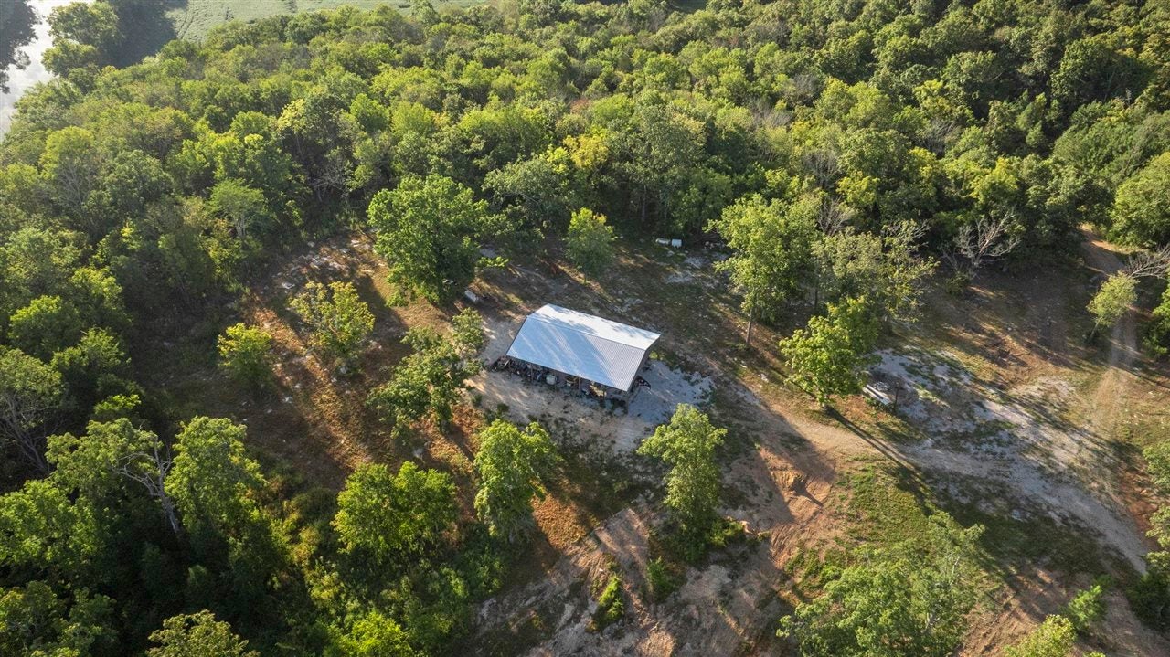 Bowling Green, Kentucky, 42101, United States, 3 Bedrooms Bedrooms, ,2 BathroomsBathrooms,Residential,Active,1920252