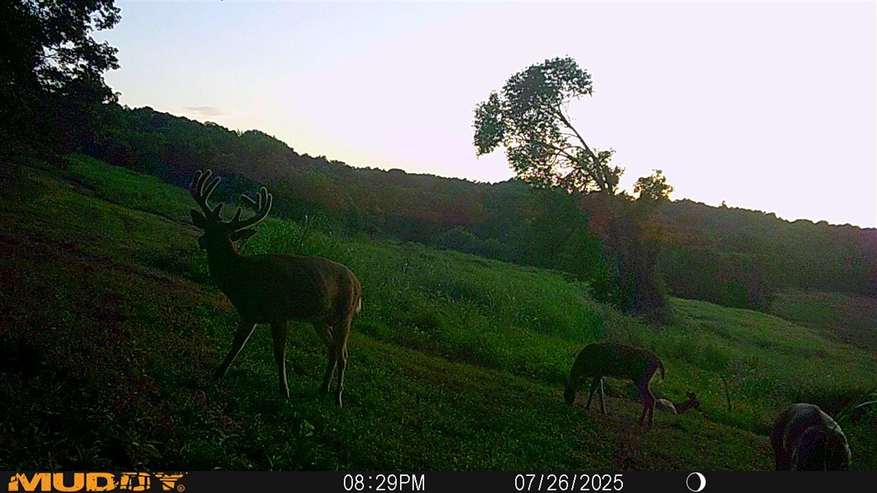 Bowling Green, Kentucky, 42101, United States, 3 Bedrooms Bedrooms, ,2 BathroomsBathrooms,Residential,Active,1920252