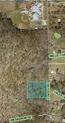 COATES ROAD, SPRINGFIELD, LA 70462 - Image 1