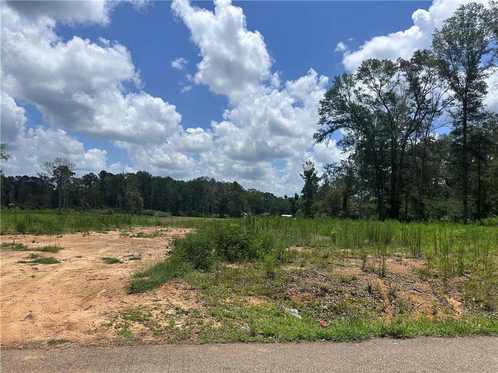 63198 HILL ST TRACT 2 STREET, ROSELAND, LA 70456, photo 1 of 8