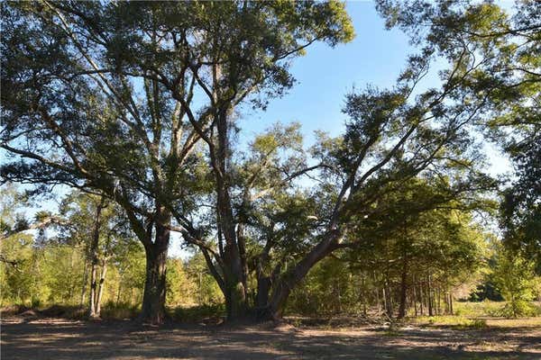 00 EBB GUILLOT ROAD, PEARL RIVER, LA 70452, photo 3 of 3