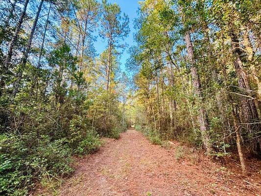 15 ACRES E MORAN ROAD, PEARL RIVER, LA 70452 - Image 1