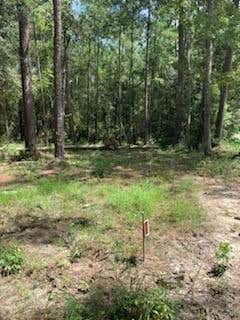 LOT 29 CYPRESS STREET, LACOMBE, LA 70445 - Image 1