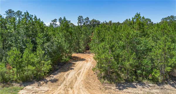 LOT 1 TEN MILE ROAD, PITKIN, LA 70656 - Image 1