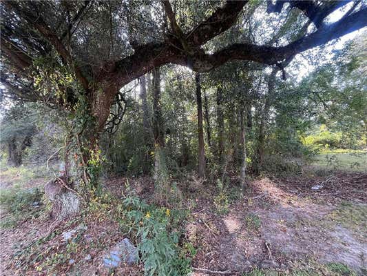 MARTIN LUTHER KING AVENUE, HAMMOND, LA 70401 - Image 1