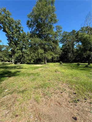 414 HOG ISLAND RD, DRY PRONG, LA 71423, photo 2 of 4