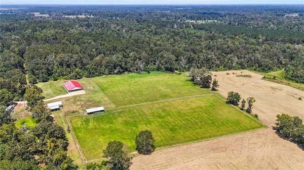 56270 LORANGER RD, LORANGER, LA 70446, photo 2 of 34