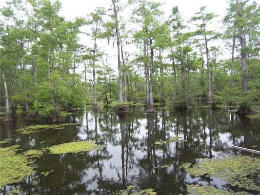 720 HOG ISLAND RD, DRY PRONG, LA 71423, photo 3 of 40