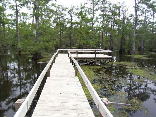 720 HOG ISLAND RD, DRY PRONG, LA 71423, photo 2 of 40