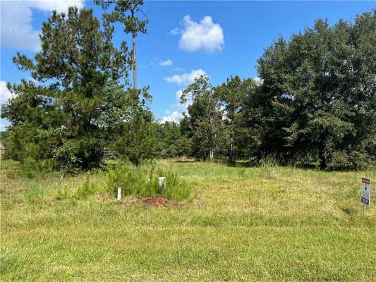 TBD AZALEA DRIVE, PONCHATOULA, LA 70454 - Image 1