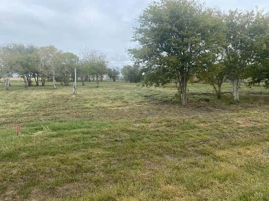 207 HATCH ST E, TIVOLI, TX 77990 - Image 1