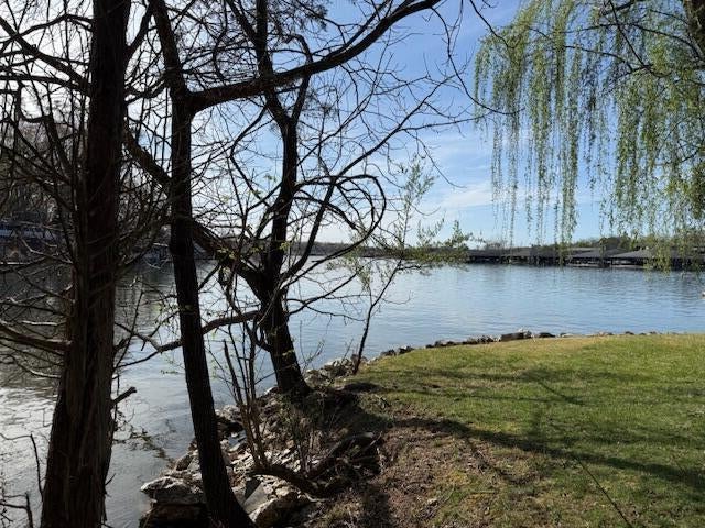 Moneta, Virginia, 24121, United States, 4 Bedrooms Bedrooms, ,5 BathroomsBathrooms,Residential,Active,1993643