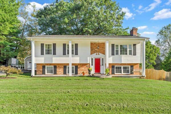 28 SPRUCE CIR, BLUE RIDGE, VA 24064 - Image 1