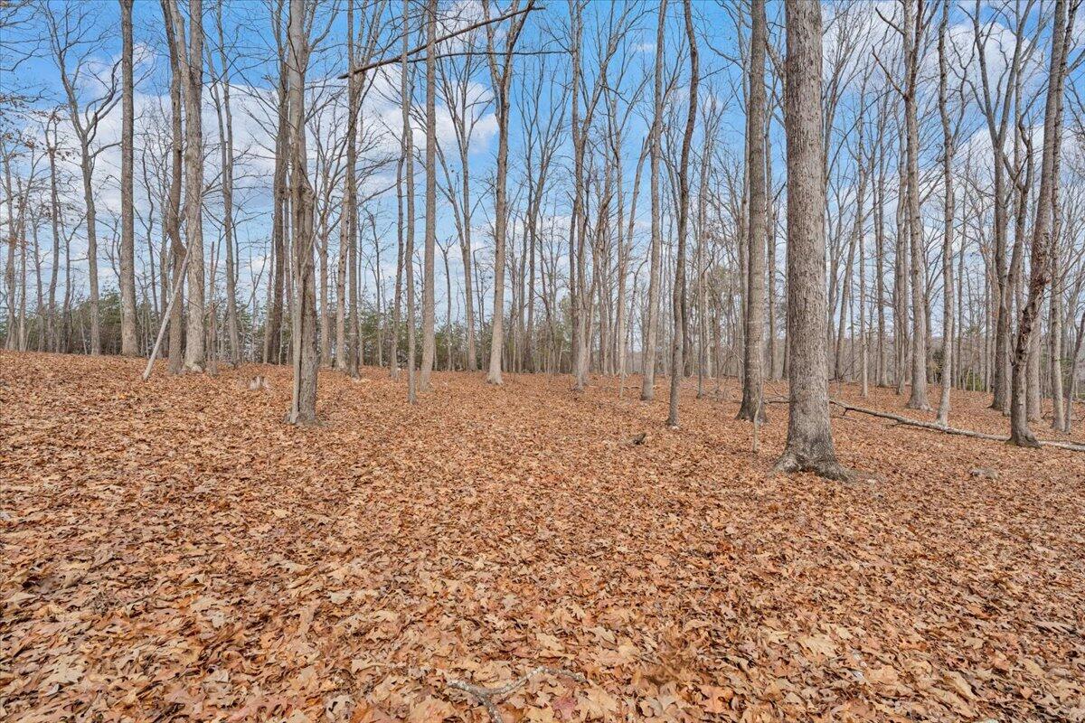 Huddleston, Virginia, 24104, United States, 5 Bedrooms Bedrooms, ,4 BathroomsBathrooms,Residential,Active,2023928