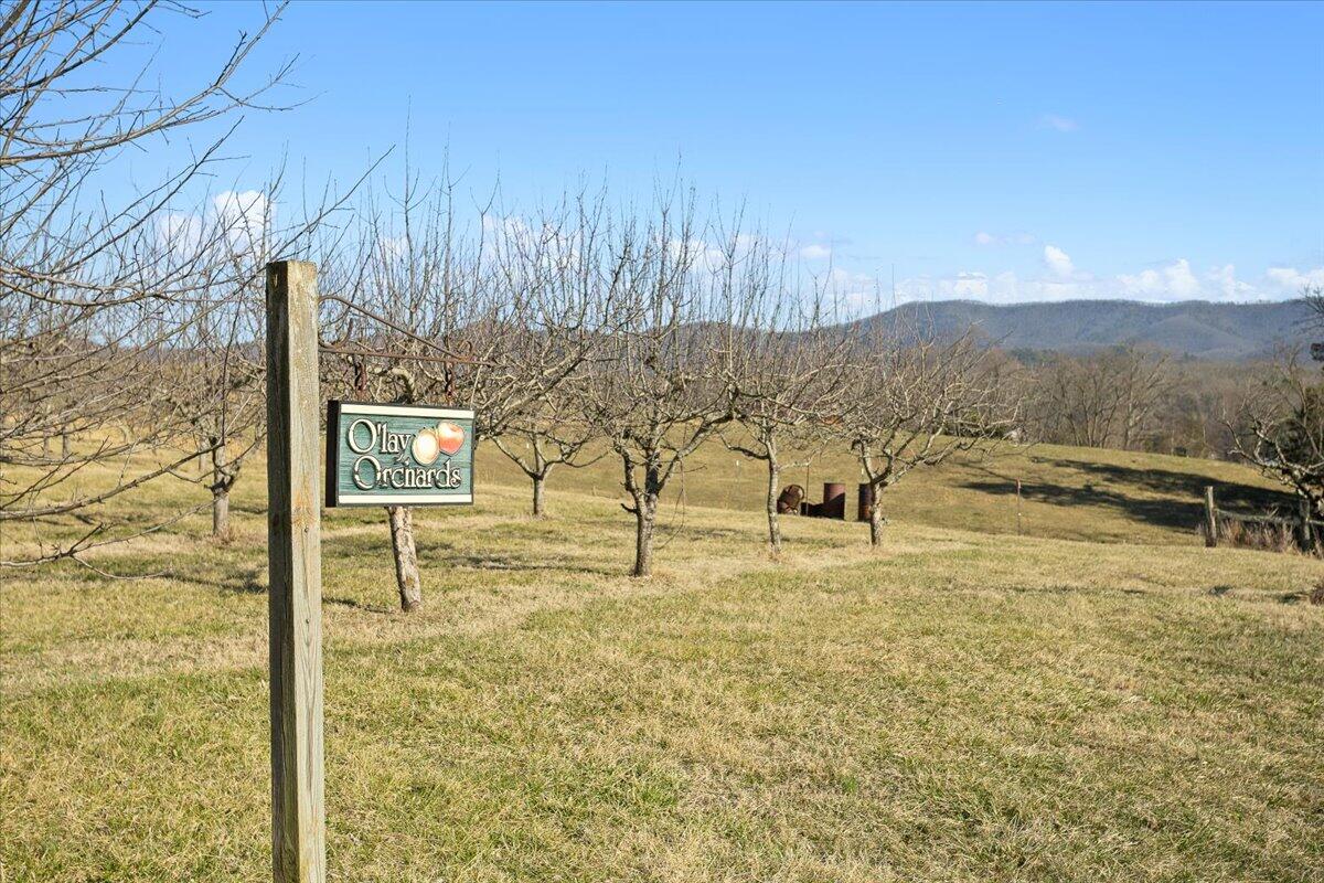 Fincastle, Virginia, 24090, United States, 3 Bedrooms Bedrooms, ,4 BathroomsBathrooms,Residential,Active,1945492