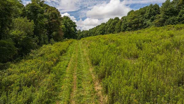 0 FOOTBALL LN, LAUREL FORK, VA 24352, photo 2 of 34