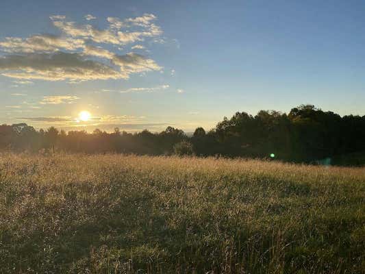 TBD REEDSVILLE RD, FLOYD, VA 24091 - Image 1