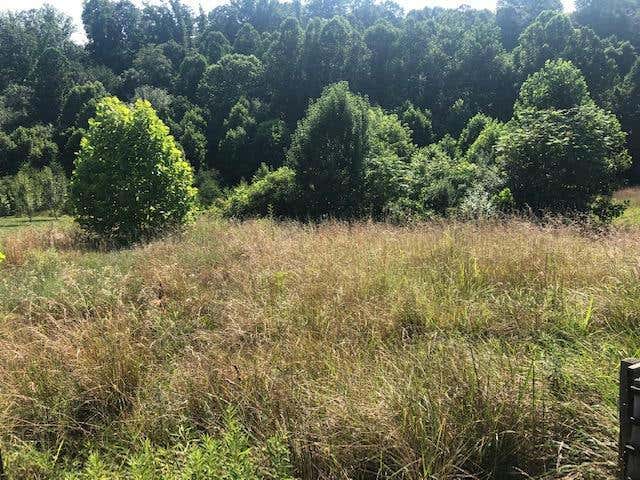 LOT 9 HUNTERS KNOLL DR, GOODVIEW, VA 24095, photo 1