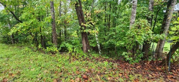 LOT 63 CIRCLE VIEW ST, ROCKY MOUNT, VA 24151 - Image 1