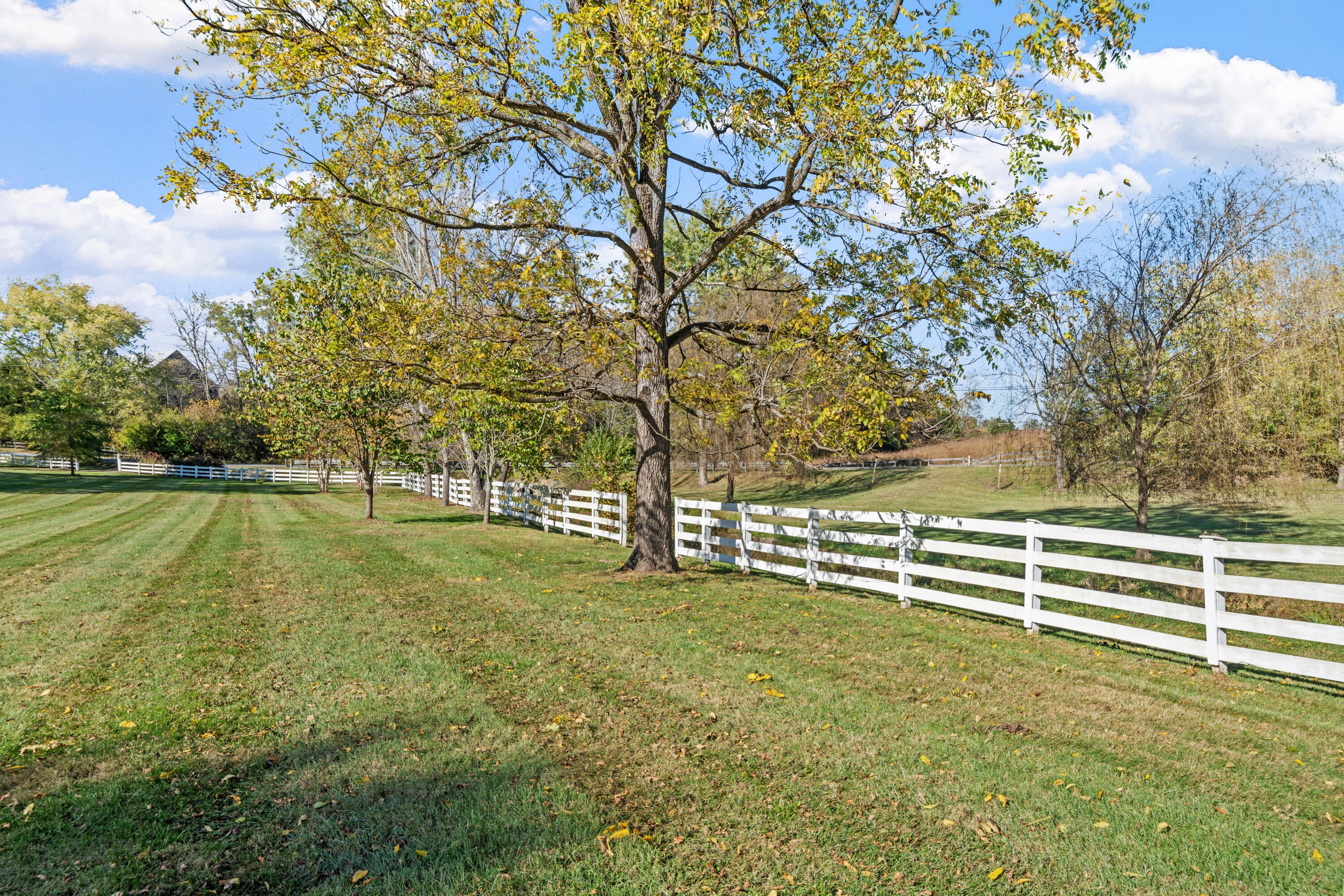 Troutville, Virginia, 24175, United States, 5 Bedrooms Bedrooms, ,4 BathroomsBathrooms,Residential,Active,1965837