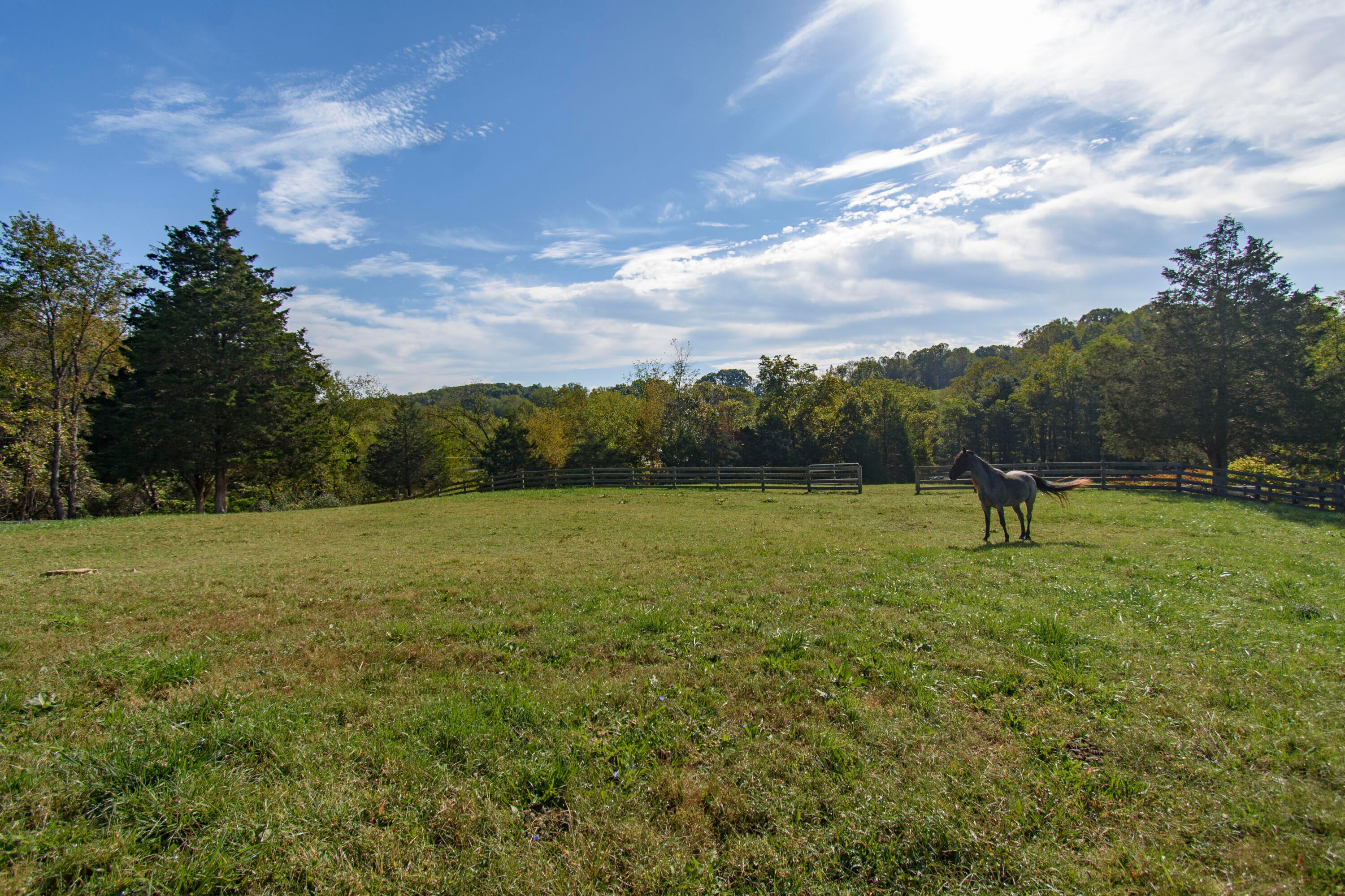 Catawba, Virginia, 24070, United States, 3 Bedrooms Bedrooms, ,3 BathroomsBathrooms,Residential,Active,1954423
