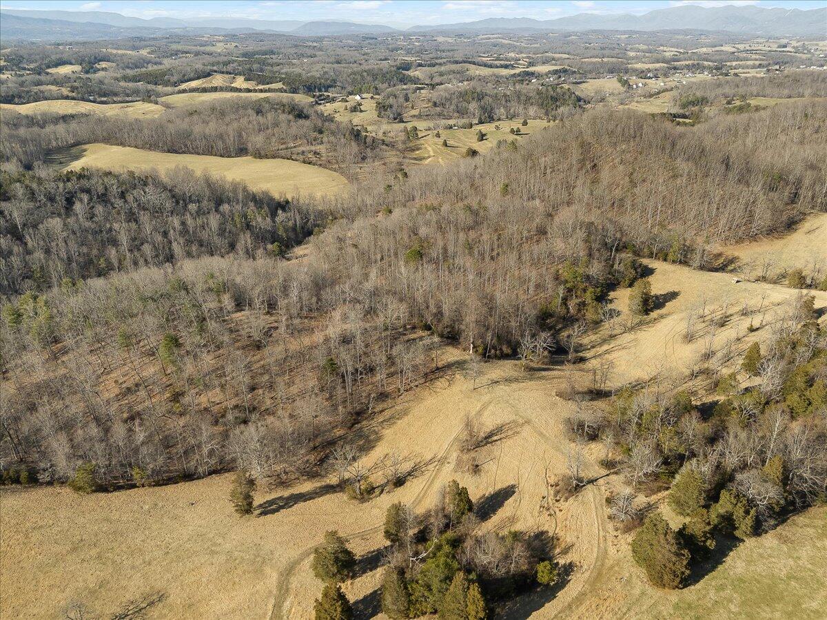 Fincastle, Virginia, 24090, United States, 3 Bedrooms Bedrooms, ,4 BathroomsBathrooms,Residential,Active,1945492