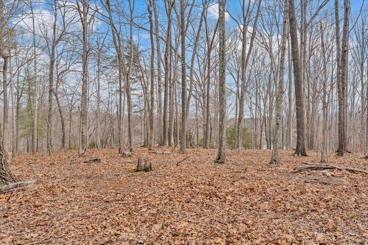 Huddleston, Virginia, 24104, United States, 5 Bedrooms Bedrooms, ,4 BathroomsBathrooms,Residential,Active,2023928