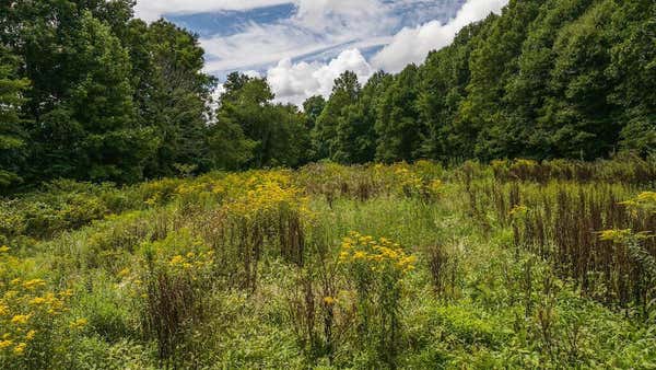 0 FOOTBALL LN, LAUREL FORK, VA 24352, photo 5 of 34