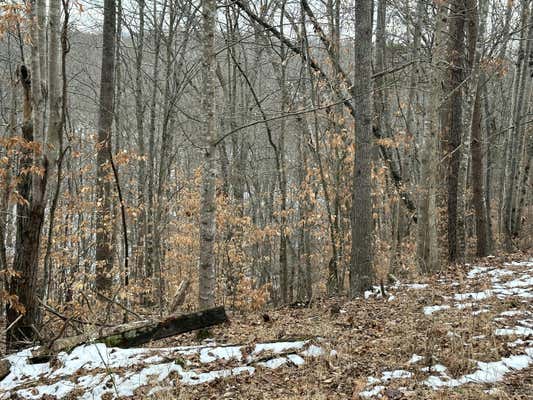 LOT 7 TRAPPER LN, VINTON, VA 24179 - Image 1