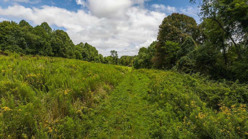 0 FOOTBALL LN, LAUREL FORK, VA 24352, photo 1 of 34