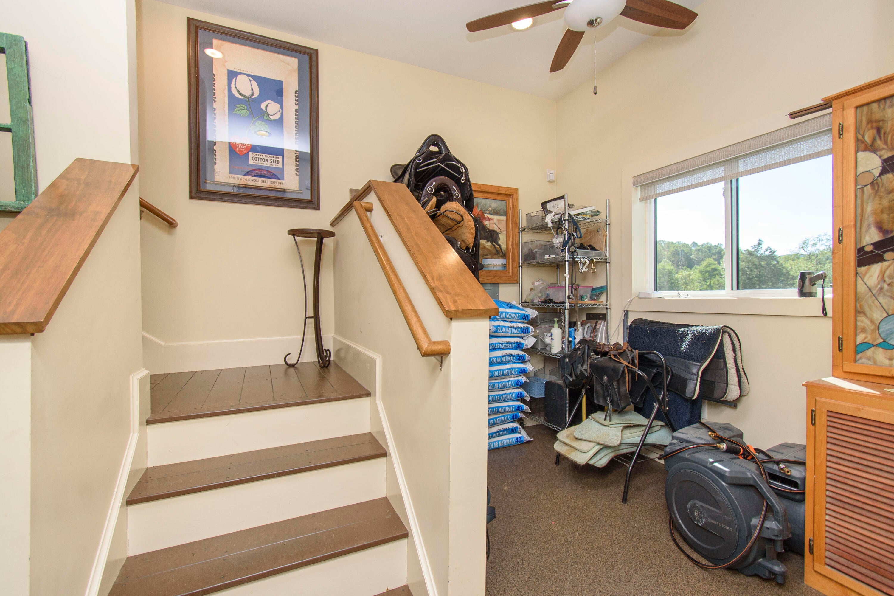 Catawba, Virginia, 24070, United States, 3 Bedrooms Bedrooms, ,3 BathroomsBathrooms,Residential,Active,1954423