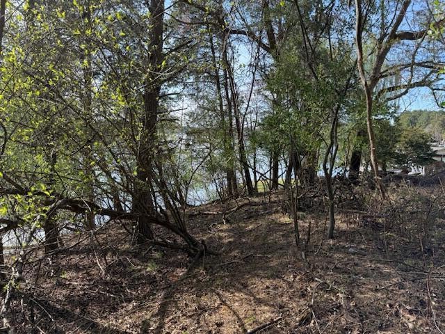 Moneta, Virginia, 24121, United States, 4 Bedrooms Bedrooms, ,5 BathroomsBathrooms,Residential,Active,1993643